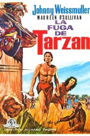 La fuga de Tarzán