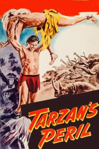Tarzán en peligro