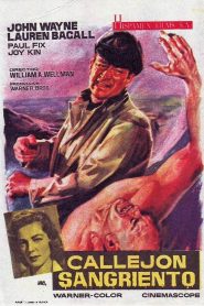 Callejón sangriento